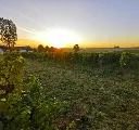 customized_Ferme-et-vignes-1_74785f69-8a09-4102-8b89-a5593528257e.webp