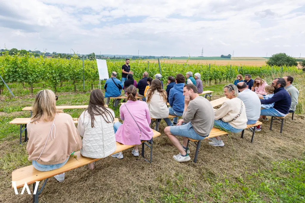 Web 20230702-Portes ouvertes Domaine W (Tubize) - Alain Heymans focale 2.8 - 149.webp