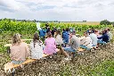 Web 20230702-Portes ouvertes Domaine W (Tubize) - Alain Heymans focale 2.8 - 149.webp