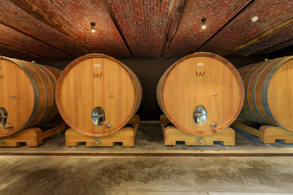 DOMAINE W - Chai à foudres.webp