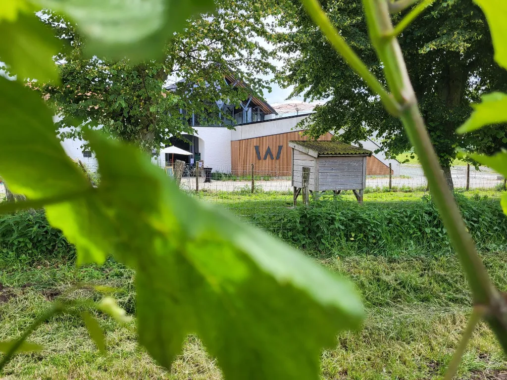 20240630_112409 light.webp