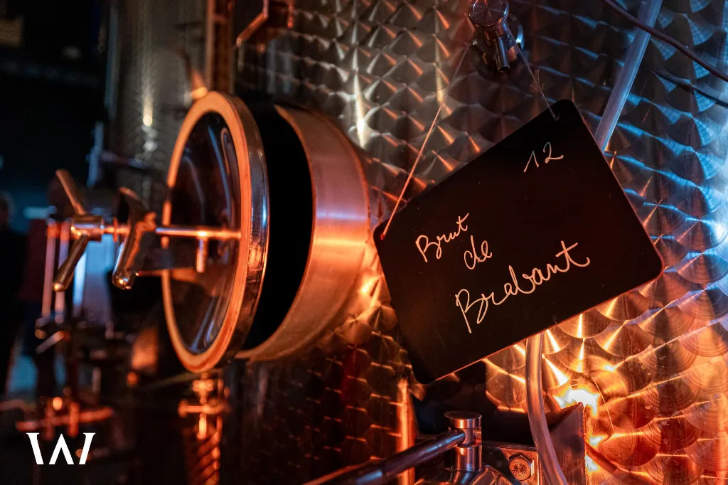 Web 20230702-Portes ouvertes Domaine W (Tubize) - Alain Heymans focale 2.8 - 033.webp