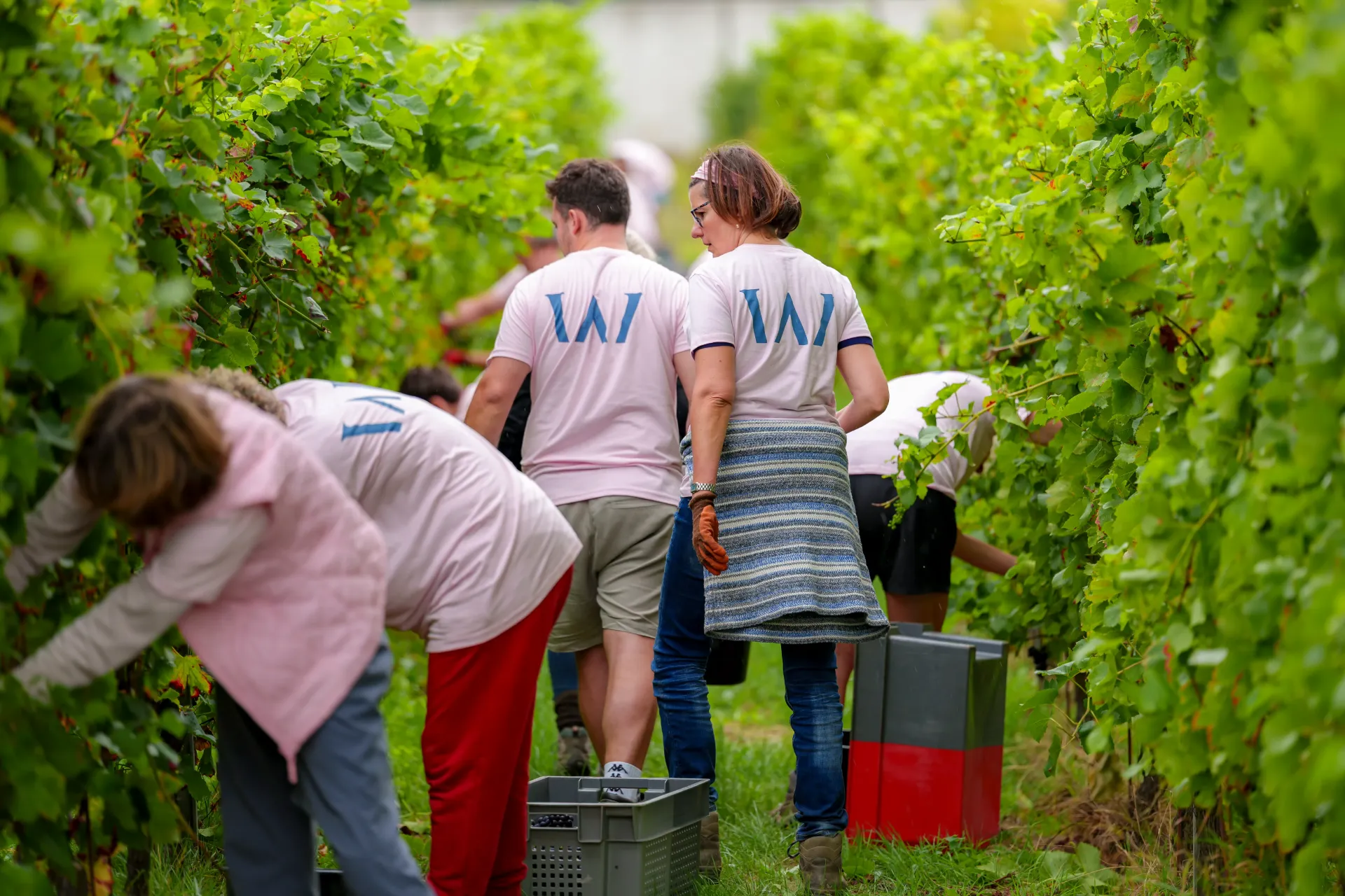 Carte cadeau Membership Expérience