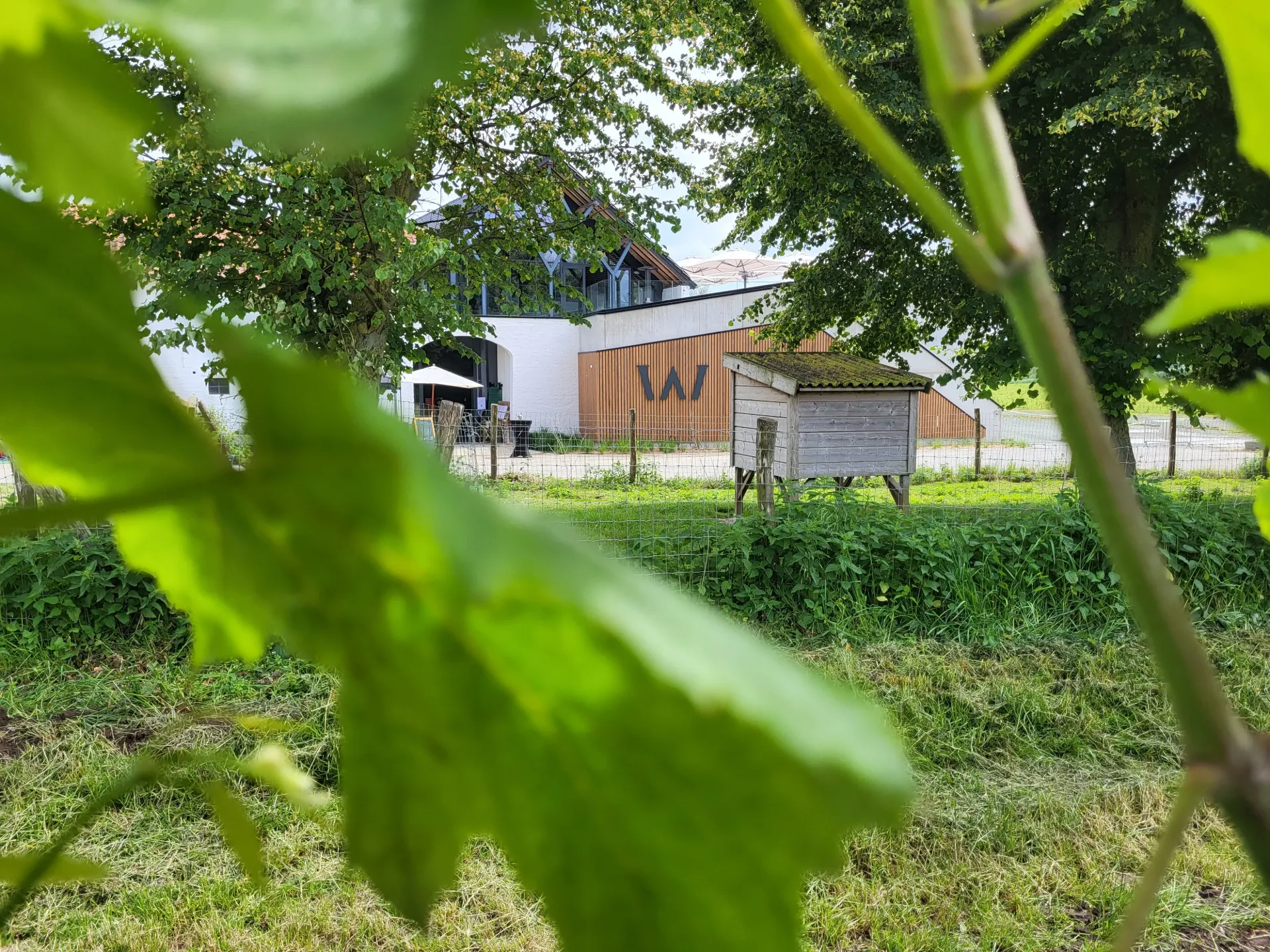 Voucher voor een bezoek en degustatie bij Domaine W